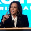 AAPI voters lean toward Harris over Trump on key issues in poll