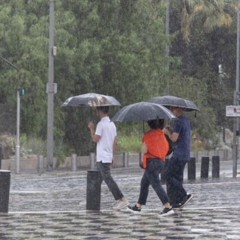 Le déluge arrive cette semaine : à cette date, la pluie touche tout le monde