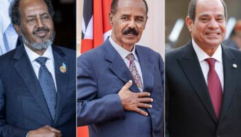 Égypte, Somalie et Érythrée : création d’une alliance tripartite contre l’Éthiopie