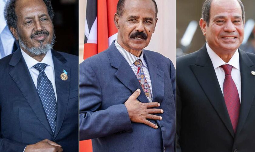 Égypte, Somalie et Érythrée : création d’une alliance tripartite contre l’Éthiopie