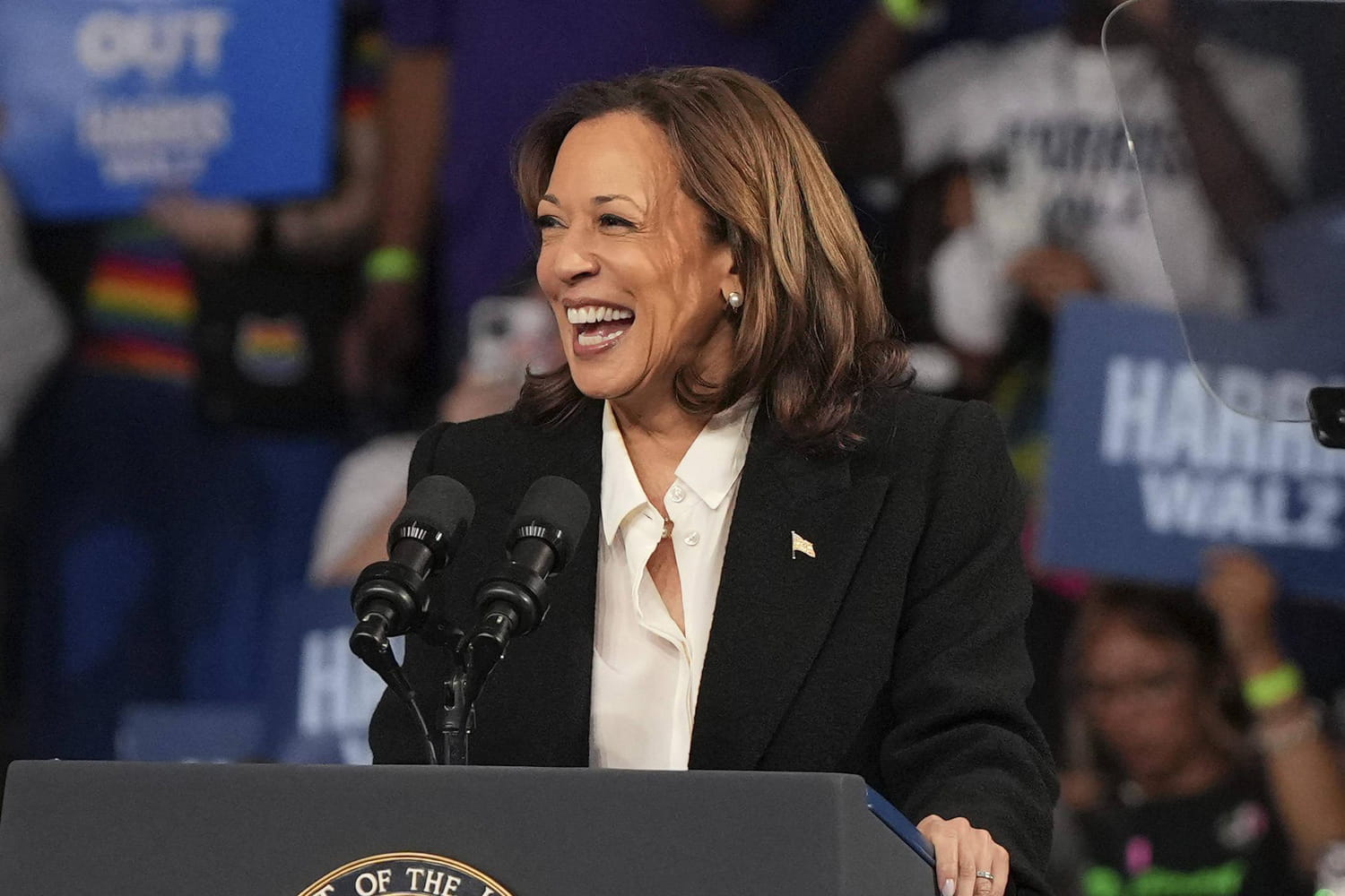 Kamala Harris : sondages, programme... Des résultats encourageants mais suffisants ?