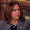 Border sheriff angered over Kamala Harris' remark to 'The View': 'Upsetting and insulting'