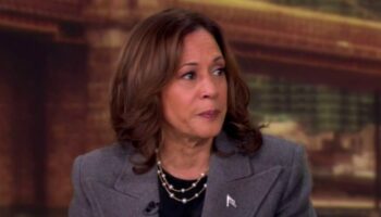 Border sheriff angered over Kamala Harris' remark to 'The View': 'Upsetting and insulting'