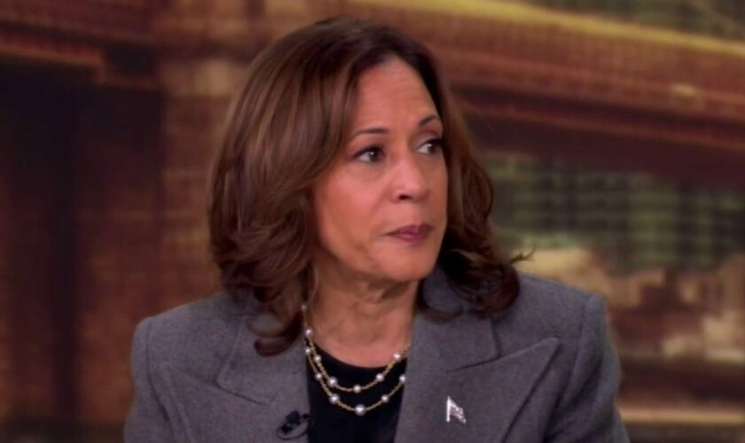 Border sheriff angered over Kamala Harris' remark to 'The View': 'Upsetting and insulting'