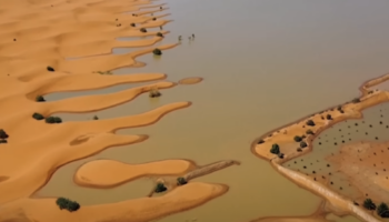 Les images aériennes du Sahara sous les eaux après d’importantes inondations