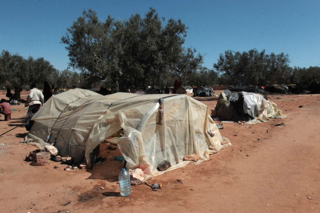 Migrants en Tunisie : des experts de l’ONU se disent « consternés par les violences signalées »