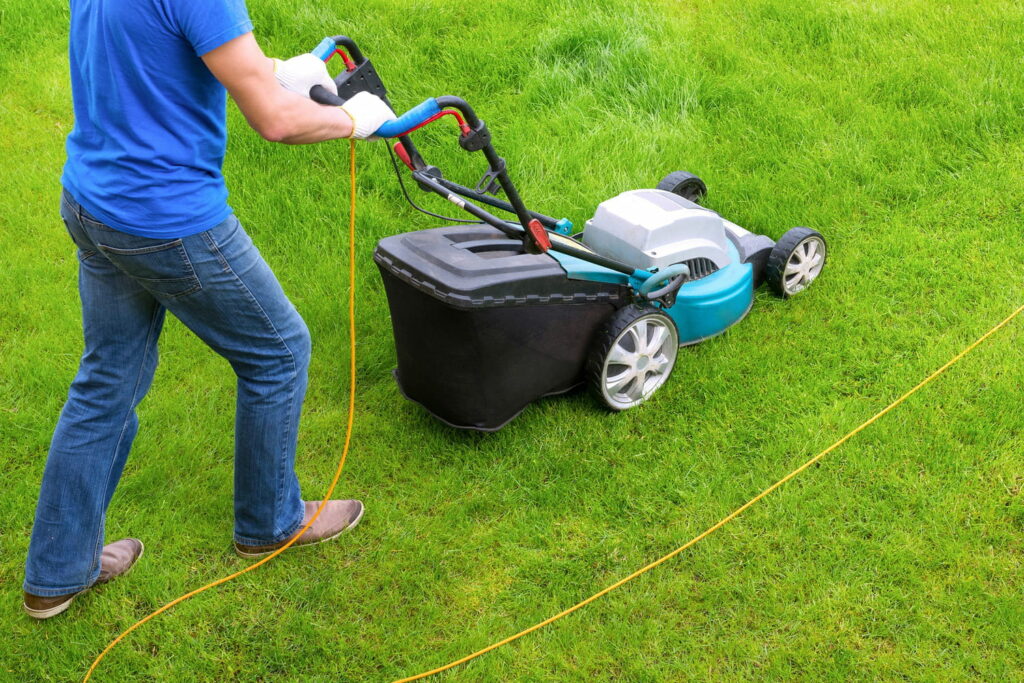 C'est à cette heure précise qu'il faut tondre en automne - les jardiniers ont partagé leur secret