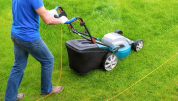 C'est à cette heure précise qu'il faut tondre en automne - les jardiniers ont partagé leur secret