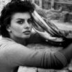 « Sophia Loren, une destinée particulière », beauté vertueuse