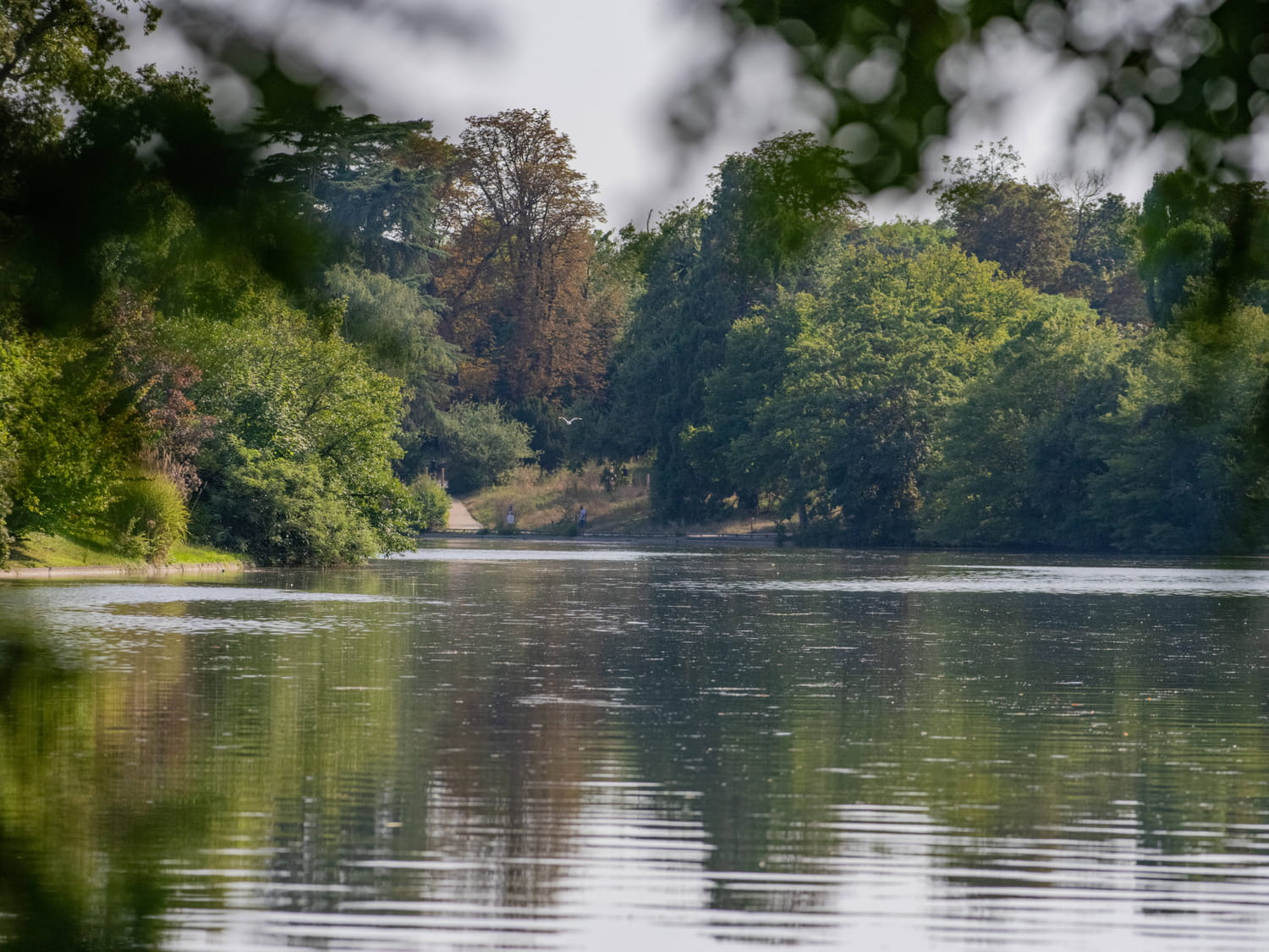 Tentative de viol dans le bois de Boulogne : le récit glaçant de l'agression