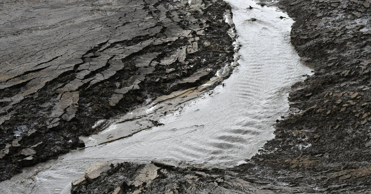 En Europe, deux tiers des eaux de surface ne sont toujours pas en bon état