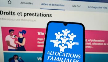 Allocations familiales : des associations réclament l'interdiction de l'algorithme anti-fraude utilisé par la Cnaf, jugé discriminant