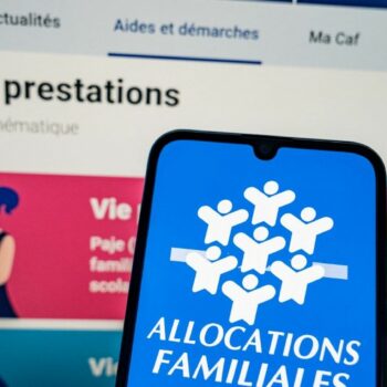 Allocations familiales : des associations réclament l'interdiction de l'algorithme anti-fraude utilisé par la Cnaf, jugé discriminant