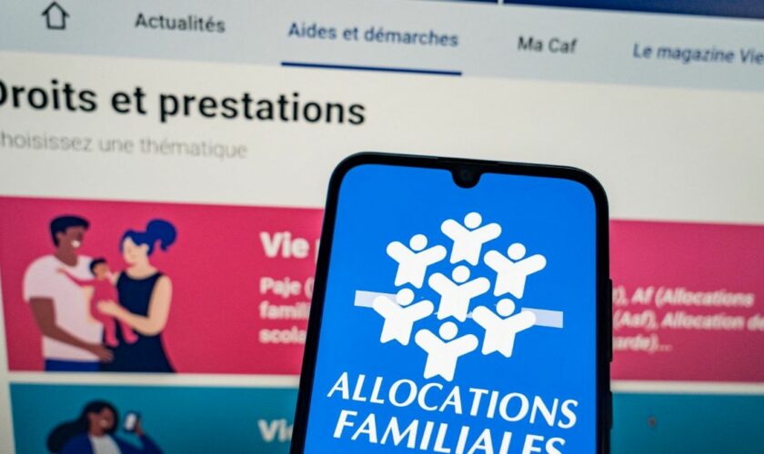 Allocations familiales : des associations réclament l'interdiction de l'algorithme anti-fraude utilisé par la Cnaf, jugé discriminant