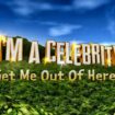 I’m a Celebrity line-up rumours ahead of 2024 launch episode