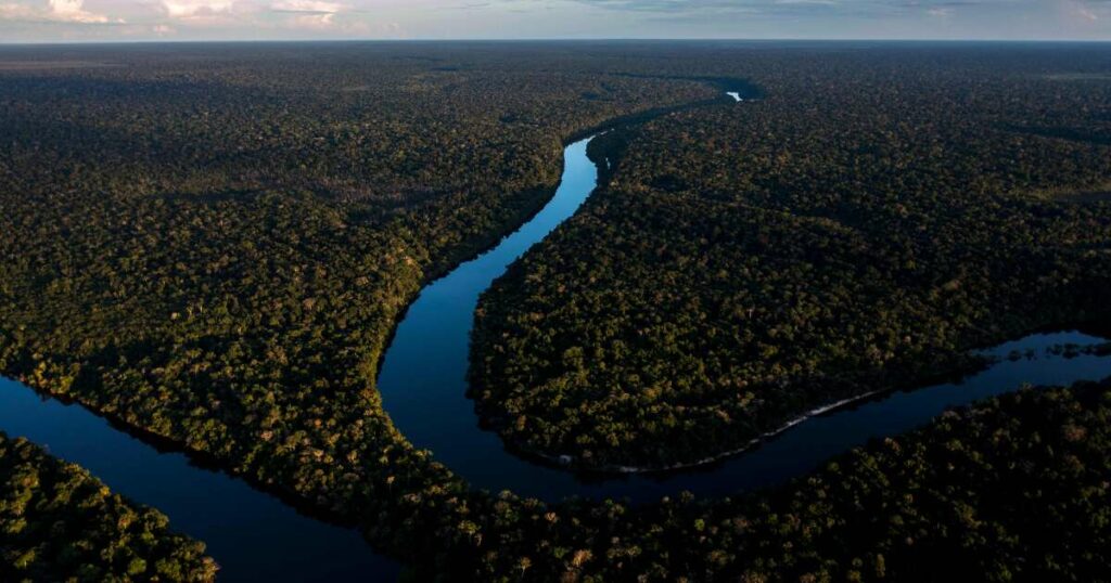 COP16 : la grande majorité des pays n’ont pas transmis leur feuille de route