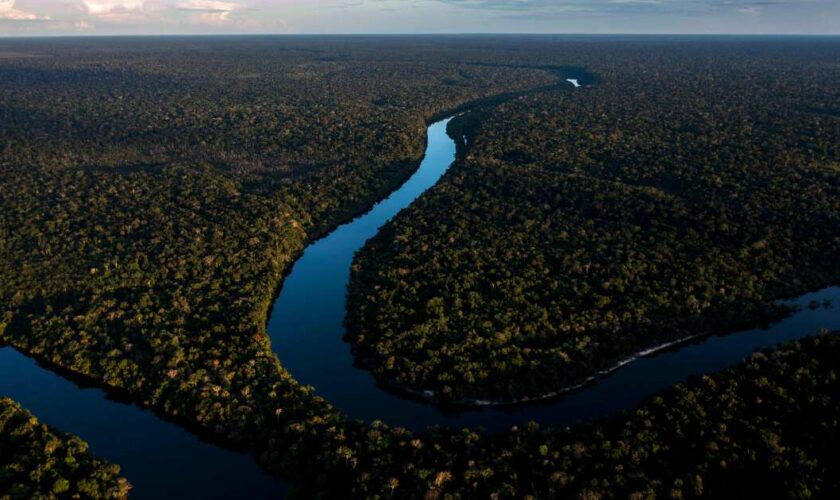 COP16 : la grande majorité des pays n’ont pas transmis leur feuille de route