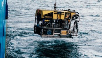 Exploration des fonds marins : une équipe internationale de scientifiques découvre un nouvel écosystème inédit dans le Pacifique