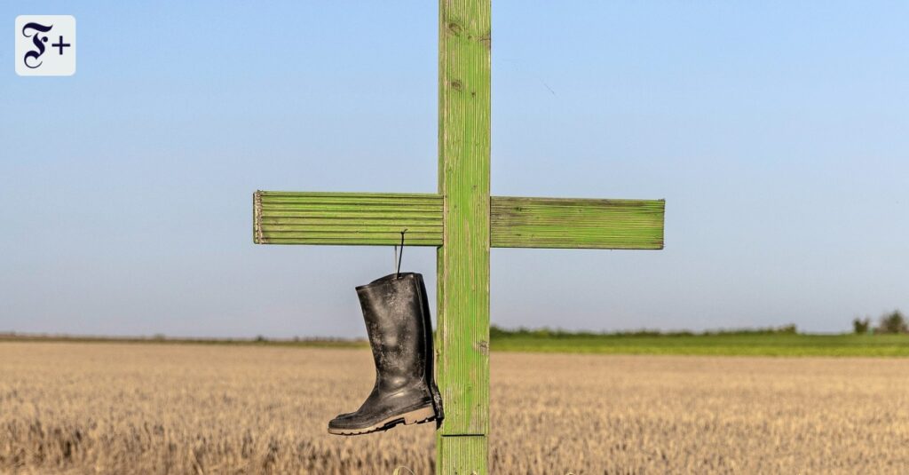 Bauern empört über Kirchenstudie zur Landwirtschaft