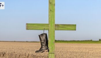 Bauern empört über Kirchenstudie zur Landwirtschaft