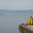 « La Barque de Masao », par Antoine Choplin : Naoshima, mon amour