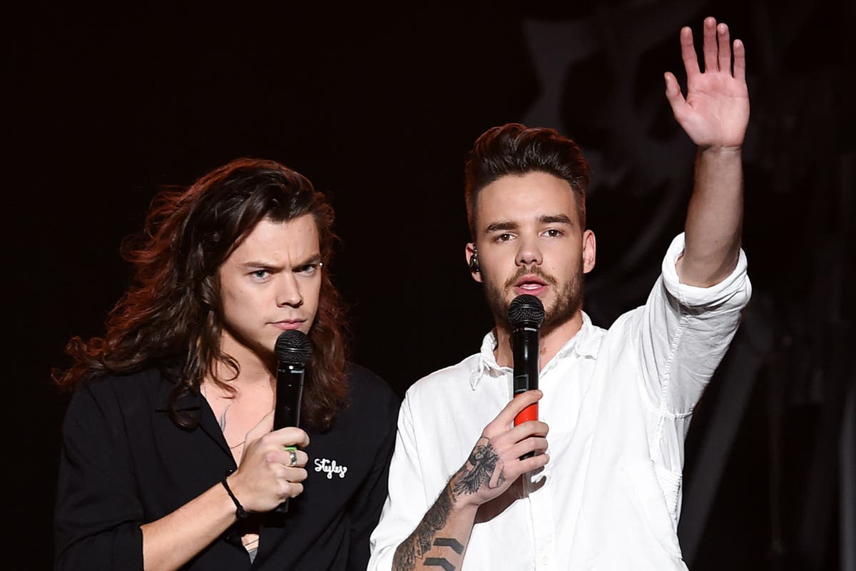 Liam Payne tributes: Family respond as Harry Styles’s mother and Niall Horan’s brother honour singer