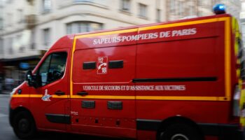 A Paris, un homme meurt après la chute d'un arbre, deux enfants en urgence relative