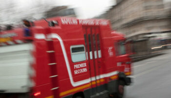 À Paris, la chute d’un arbre fait un mort et blesse deux enfants