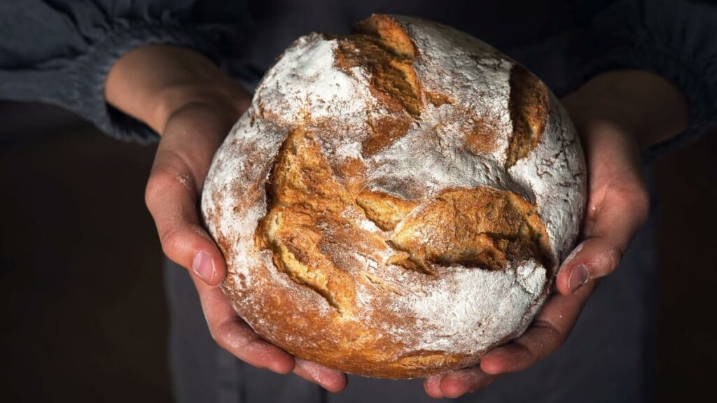 Wie wichtig Kohlenhydrate für die Menschheit waren