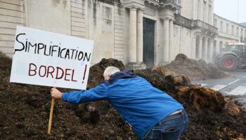 Fumier, tracteurs dans les rues... les agriculteurs reprennent les actions coups de poing