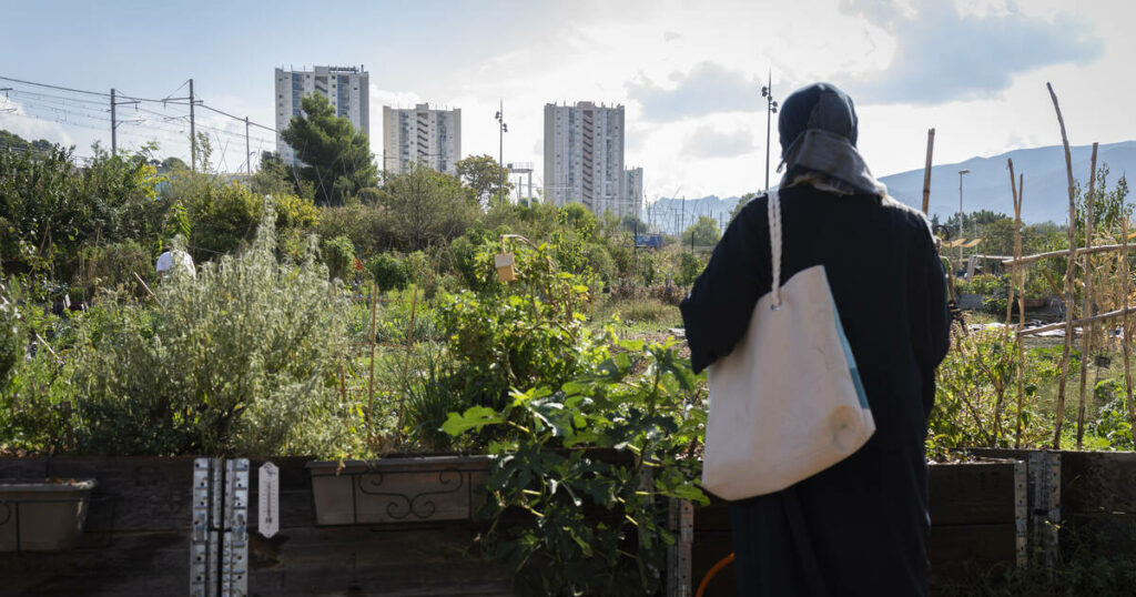 Ecologie populaire : à Marseille, la ferme urbaine du Talus veut «créer un lien» avec la cité d’Air-Bel