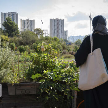 Ecologie populaire : à Marseille, la ferme urbaine du Talus veut «créer un lien» avec la cité d’Air-Bel