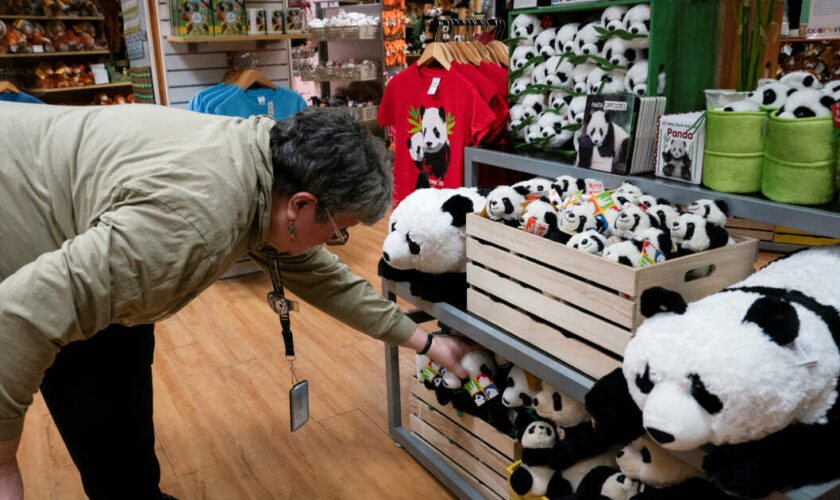 Les pandas sont de retour au zoo de Washington