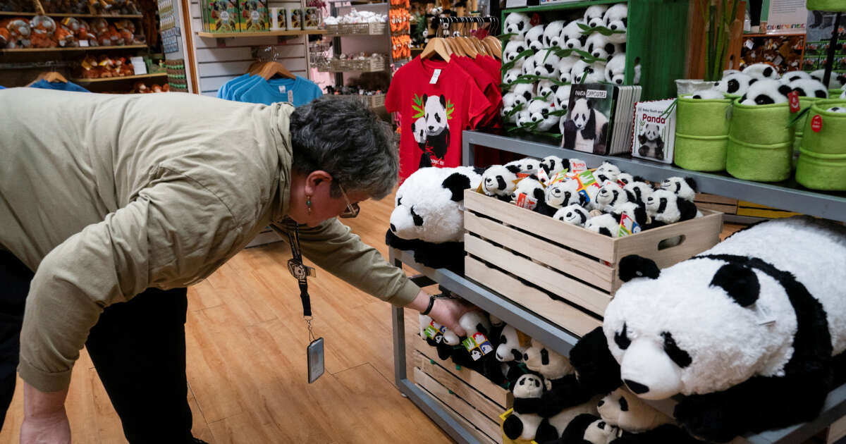 Les pandas sont de retour au zoo de Washington