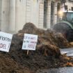 Crise agricole : "La pression dans les exploitations est immense" prévient le président des Jeunes agriculteurs de Côte-d’Or