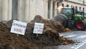 Crise agricole : "La pression dans les exploitations est immense" prévient le président des Jeunes agriculteurs de Côte-d’Or