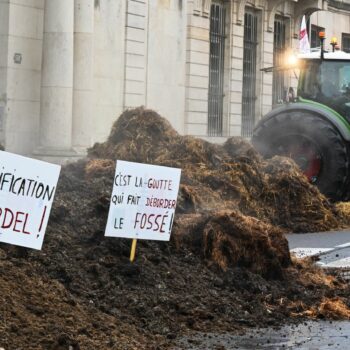 Crise agricole : "La pression dans les exploitations est immense" prévient le président des Jeunes agriculteurs de Côte-d’Or