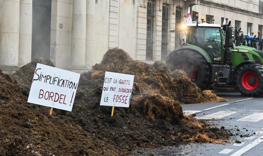 Crise agricole : "La pression dans les exploitations est immense" prévient le président des Jeunes agriculteurs de Côte-d’Or