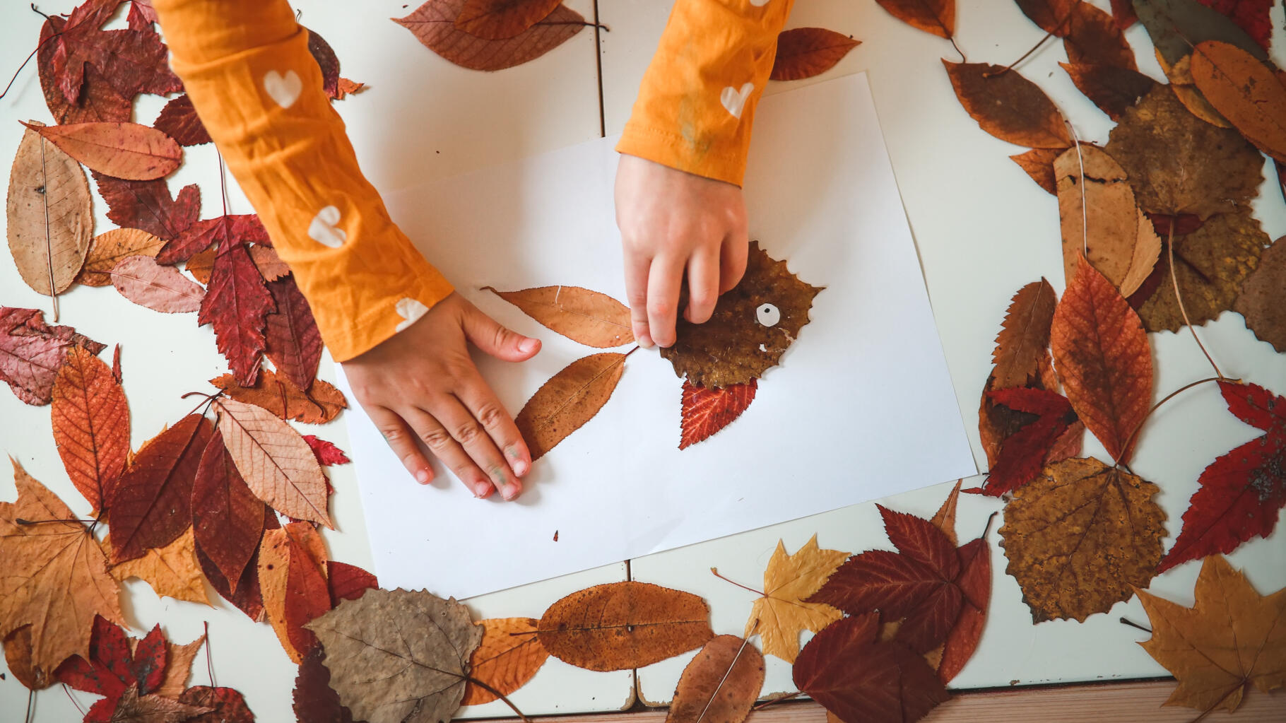 Vacances de la Toussaint : pour occuper vos enfants, voici 5 activités créatives  100 % automnales