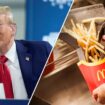 Trump teases he will 'do everything' while working behind McDonald's counter in crucial swing state