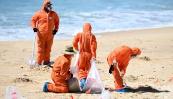 Sydney beaches reopen as composition of 'mystery' balls revealed