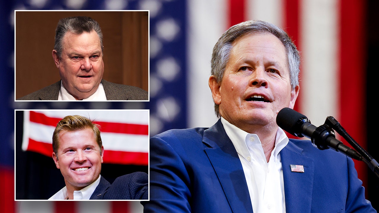 Montana Senate race, which could determine majority, seeing 'intense ground game operation': NRSC Chairman