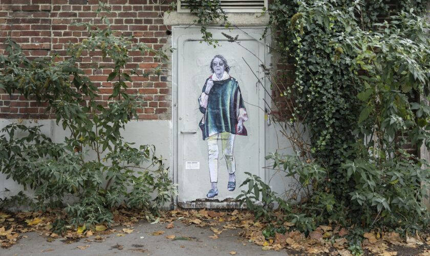 Les portraits de Gisèle Pélicot signés de l'artiste LaDame Quicolle fleurissent sur les murs de Lille