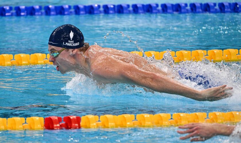 VIDEO. Coupe du monde de natation : inarrêtable, Léon Marchand remporte le 200 m 4 nages et signe un nouveau record d'Europe