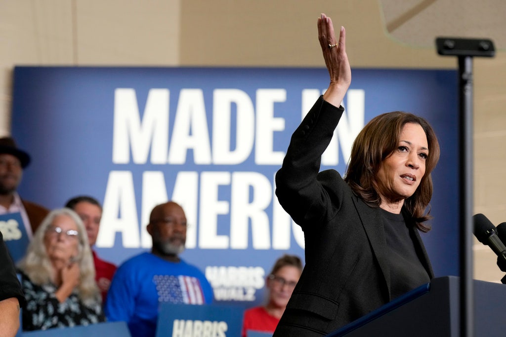 Harris voters in Michigan tell Politico they might flee country if Trump wins: ‘We’re close enough to Canada’