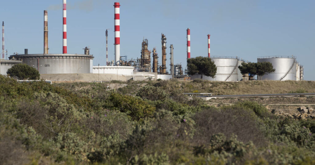 Dans la zone industrielle de Martigues, on traque le lichen pour évaluer la qualité de l’air