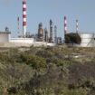 Dans la zone industrielle de Martigues, on traque le lichen pour évaluer la qualité de l’air