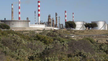 Dans la zone industrielle de Martigues, on traque le lichen pour évaluer la qualité de l’air