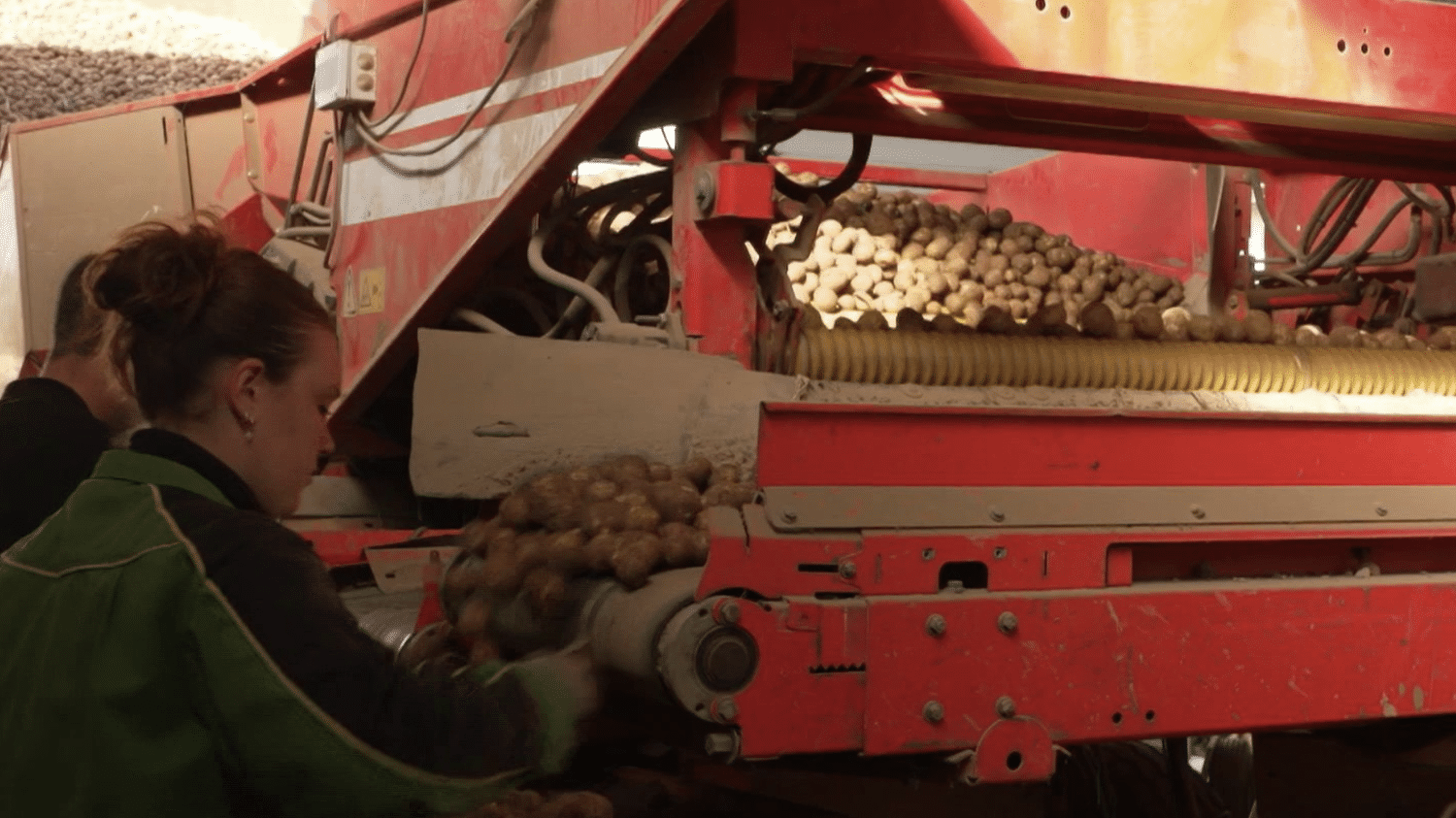 Pomme de terre : la France a la frite