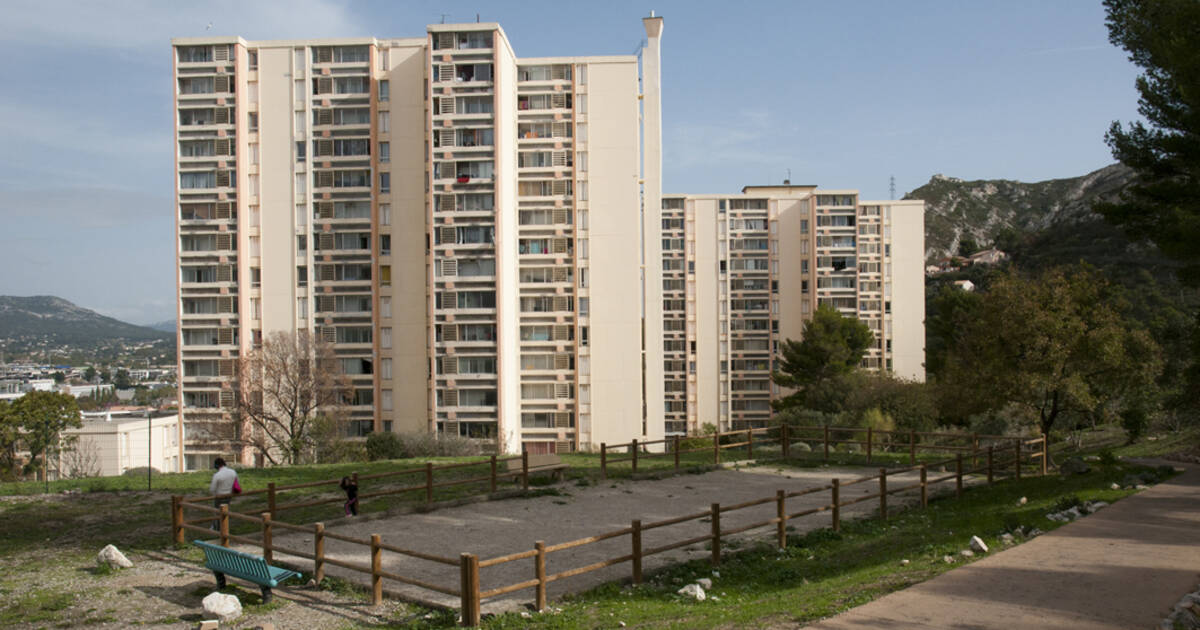 «L’écologie populaire, c’est celle du quotidien»